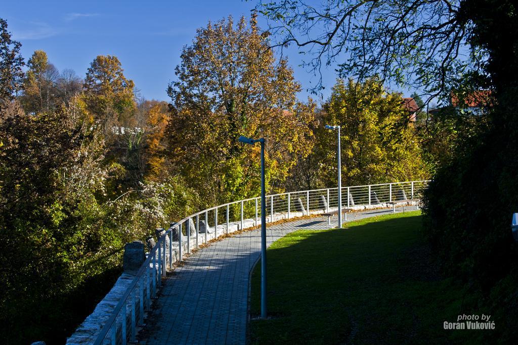 Pansion Park Panzió Szluin Kültér fotó