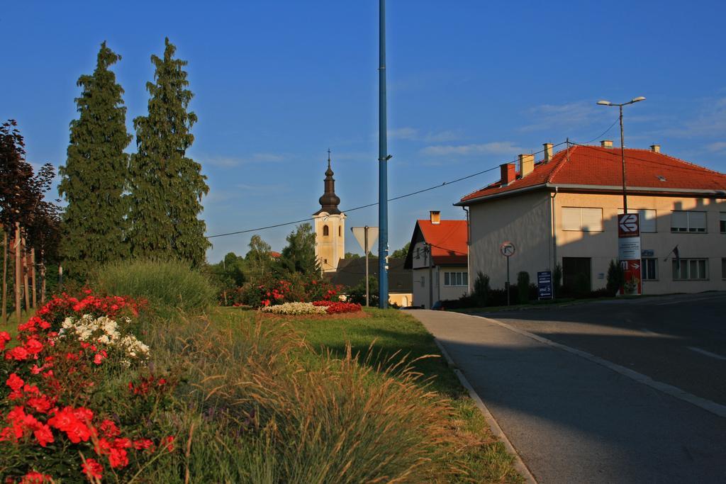 Pansion Park Panzió Szluin Kültér fotó